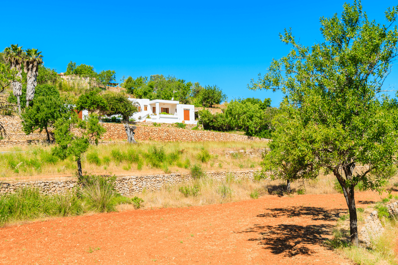 Zona Centro de la isla - En el campo