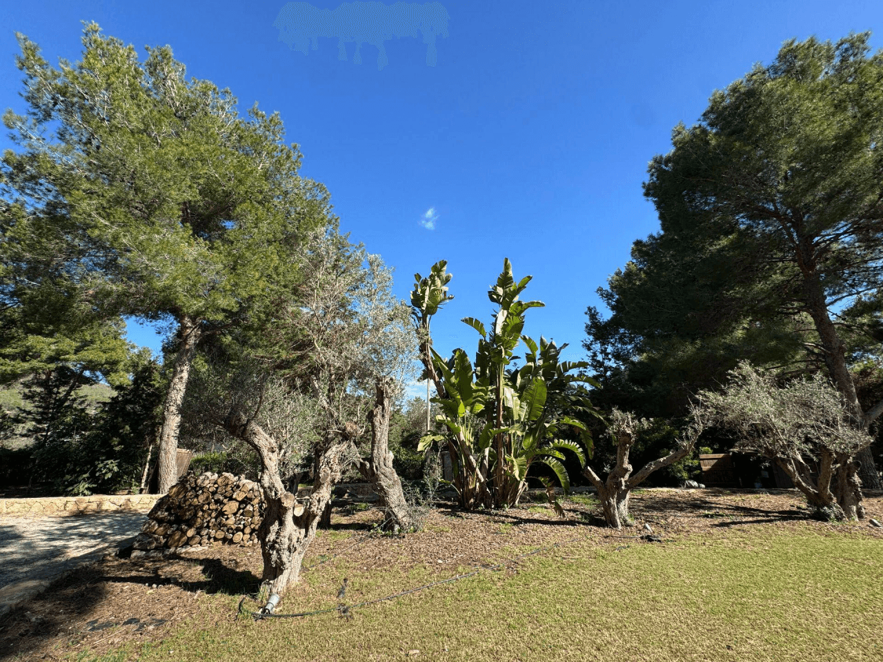 Una villa de lujo con alma mediterránea en Sant Josep de sa Talaia