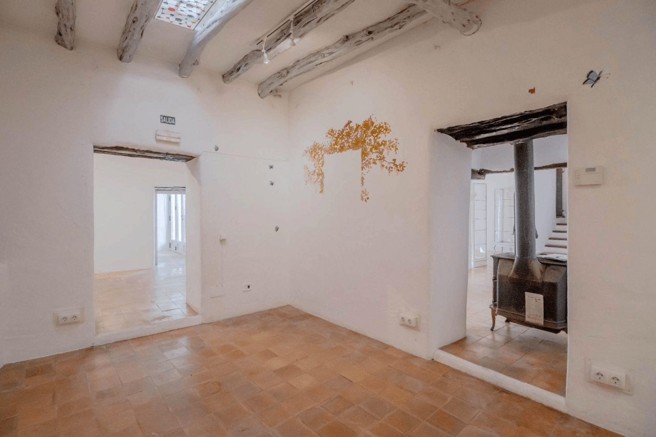 Gran finca histórica en venta o alquiler - Permiso de uso residencial o comercial
