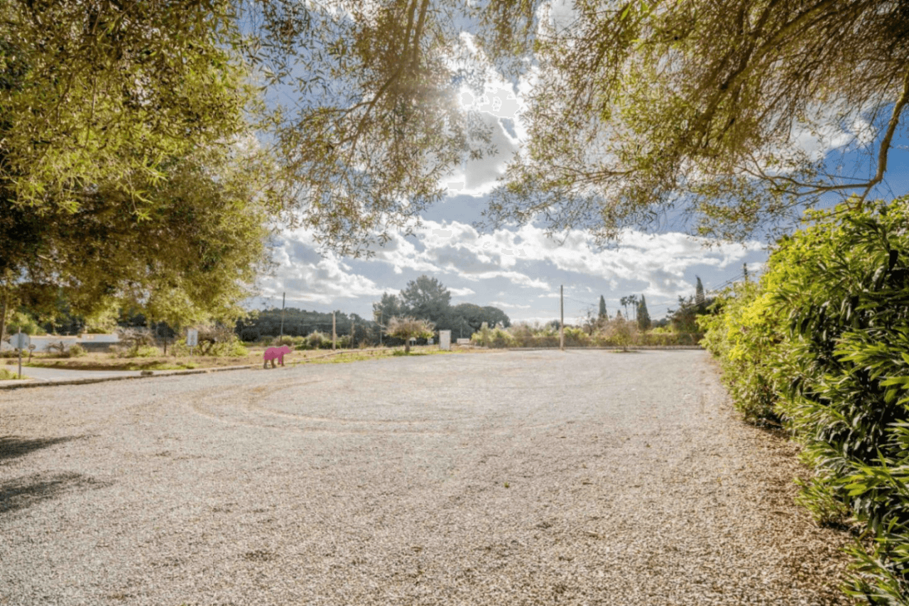 Gran finca histórica en venta o alquiler - Permiso de uso residencial o comercial