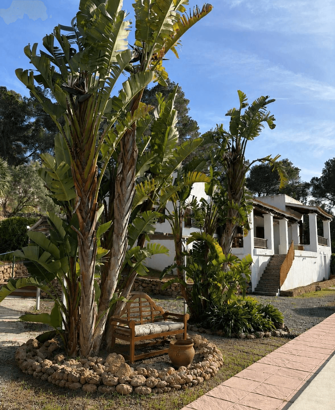 Encantadora Finca con Piscina y Vistas Panorámicas al Mar | Alquiler Temporal y de Larga Estancia