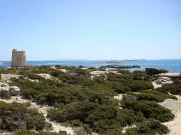 Terreno en venta en Sa Carroca, Eivissa