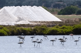 Terreno en venta en Sa Carroca, Eivissa